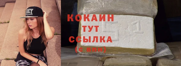 индика Вязьма
