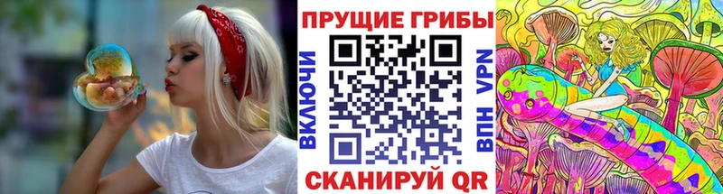 Псилоцибиновые грибы мицелий  mega маркетплейс  Саратов 