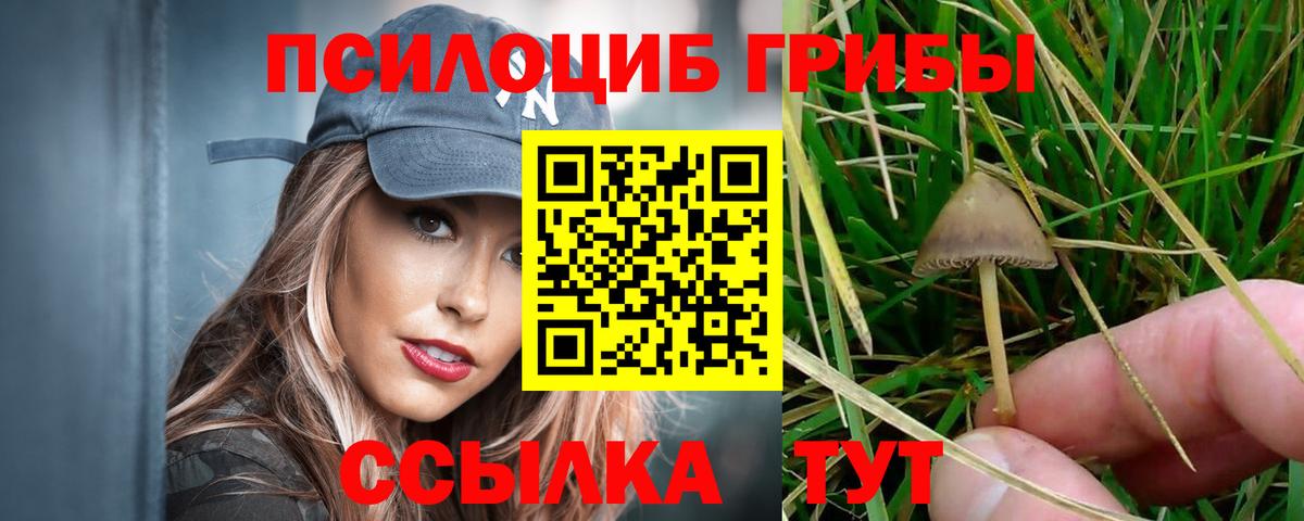 Псилоцибиновые грибы прущие грибы Саратов