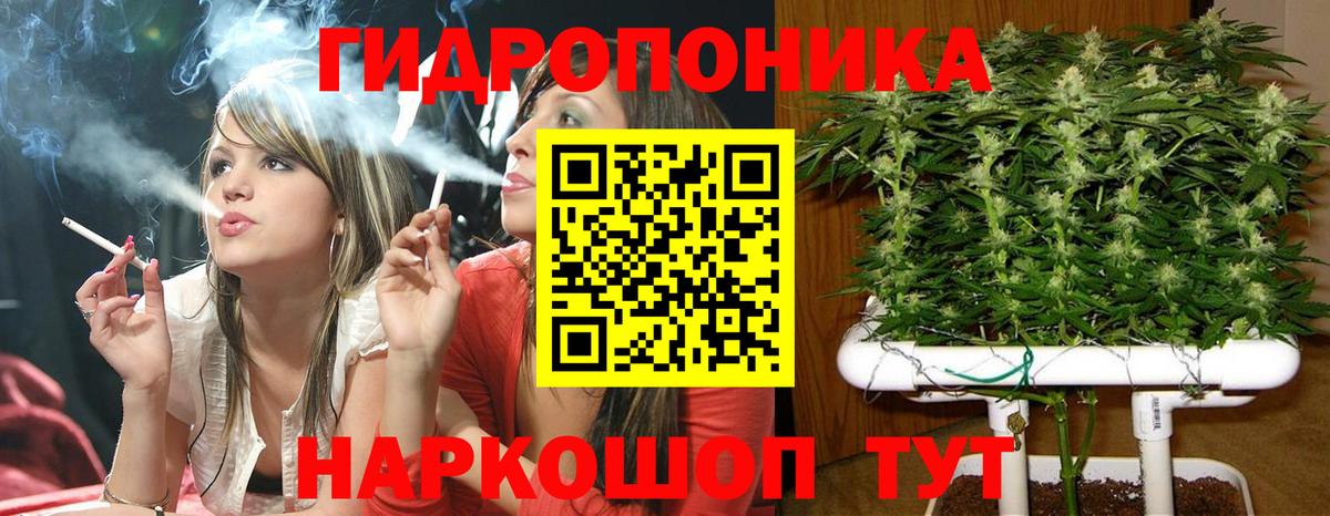Каннабис гибрид Саратов
